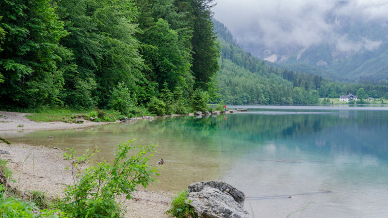 Ufer am Vorderen Langbathsee, Ausgangspunkt