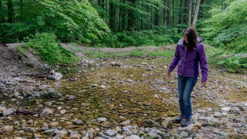 Zufluss Vorderer Langbathsee, Regenwanderung