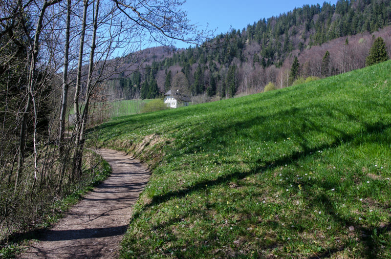 Rundweg um den Fuschlsee