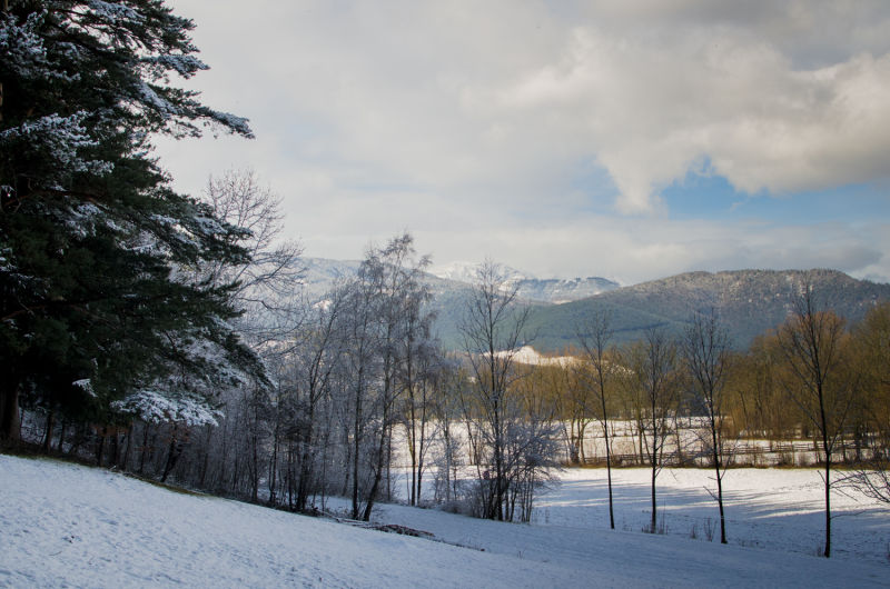 Blick vom Gfieder auf den Schneeberg, Ausgangspunkt der Wanderung auf die Gfiederwarte, Winter