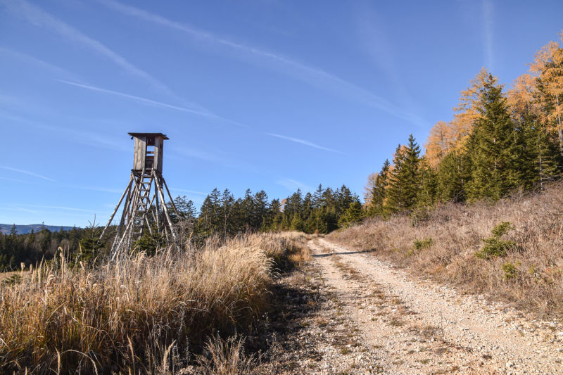 Wanderweg am Dürrnberg bei Würflach, Hochstand unter blauem Himmel