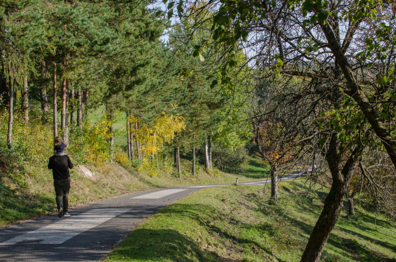 Mann mit Kind am Rundweg auf der Wiese in Prigglitz