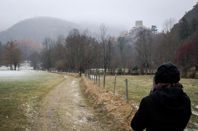 Frost in Puchberg, Blick auf die Ruine Losenheim