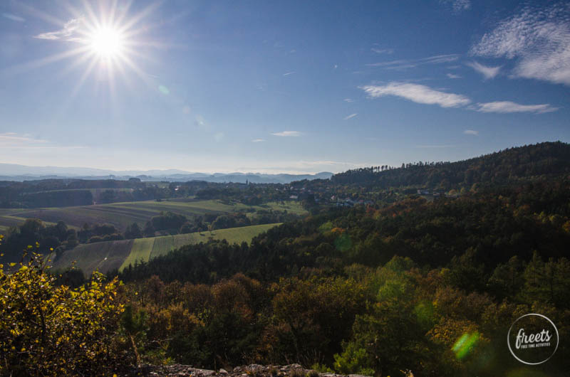 Aussicht von der Ruine Landsee
