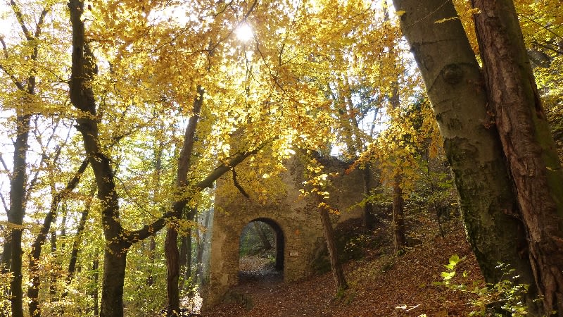 Eingangstor zur Ruine Rauhenstein bei Baden