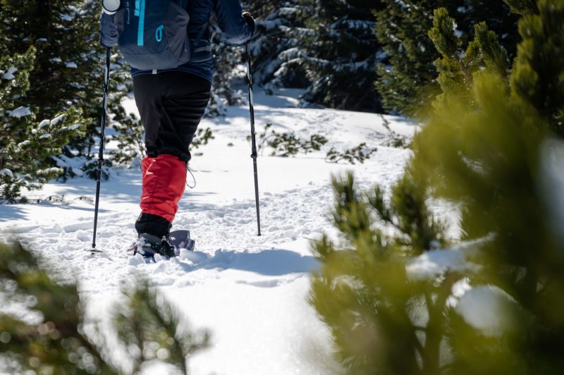 Detail Schneeschuhwandern
