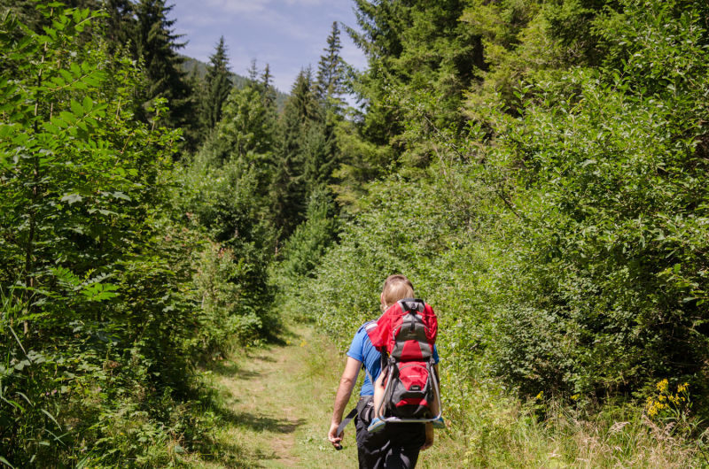 Wandern am Wechsel, Themenweg Wildwasser
