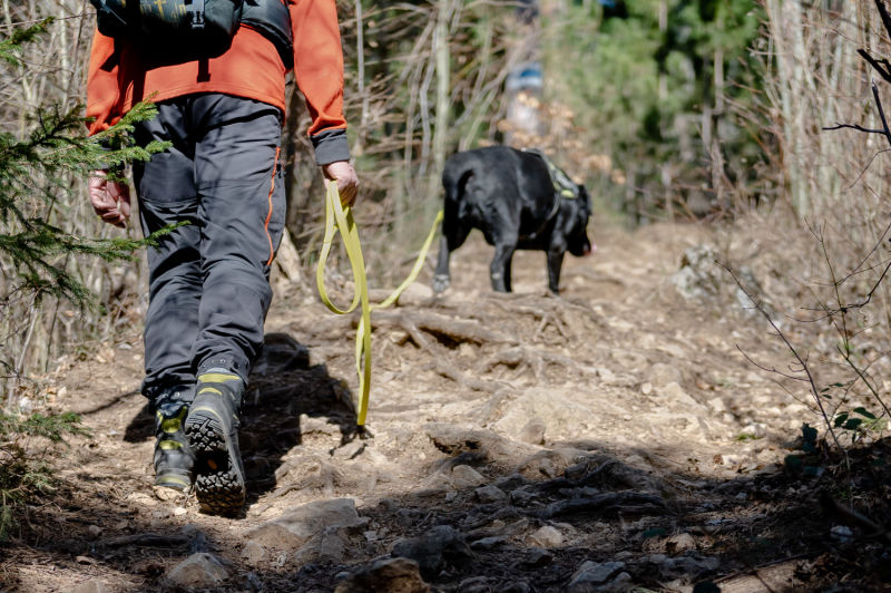 Detail Wanderer mit Hund am Wanderweg am Gösing