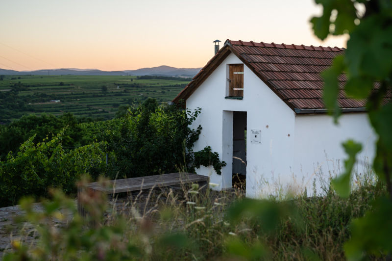 Weinhütte am Weinweg Langenlois