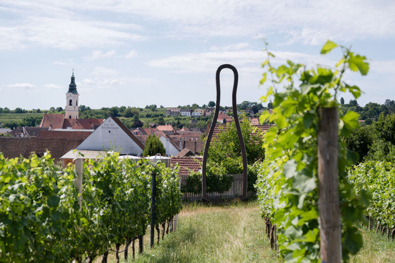 LOISIUM Weinwelt, Blick auf Langenlois