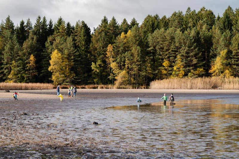 Kinder am Abfischfest am Bruneiteich, Heidenreichstein, Waldviertel