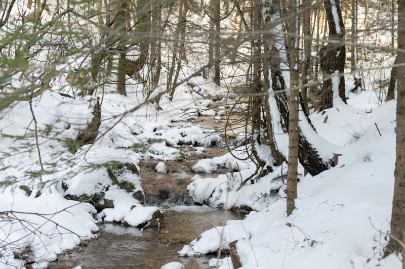 Bach im Winterwald, Puchberg, Weg zum Wasserfall