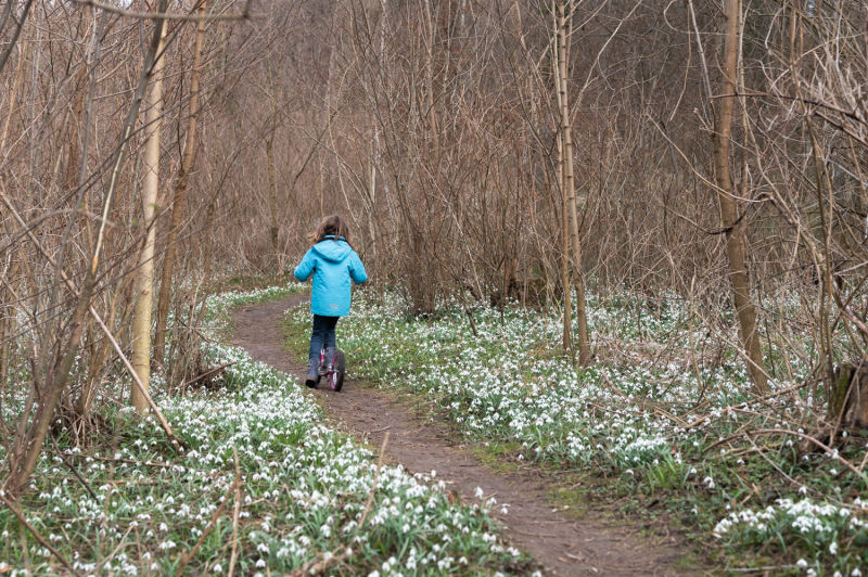 Kind mit Roller und Schneeglöckchen im Naturpark Wüste, bei Mannersdorf