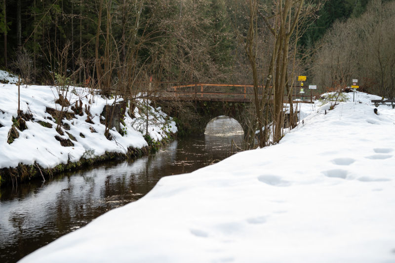 Winterwald mit Bach im Kamptal, nahe der Schwarz Alm bei Zwettl