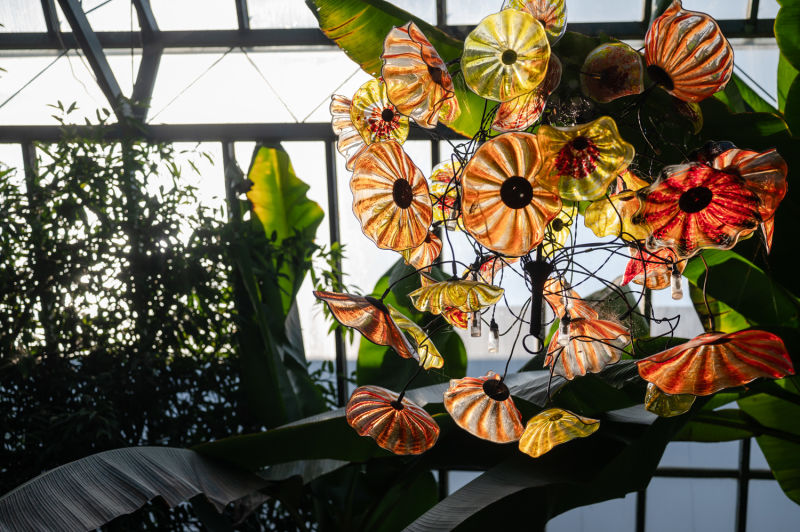Glasblumen im Palmenhaus der Gläsernen Burg in Weigelsdorf