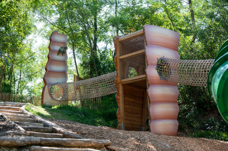 Schneckenwald in der Fossilienwelt Weinviertel