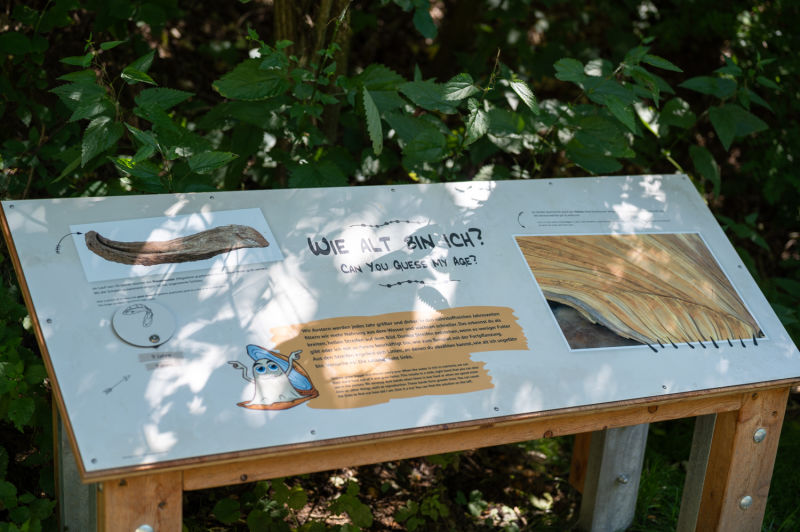 Weg durch den Forscherpark in der Fossilienwelt Weinviertel