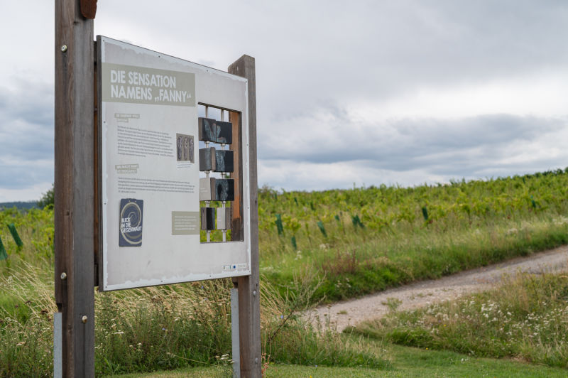 Fanny vom Galgenberg, Infotafel am Eiszeitweg, Stratzing, Kremstal