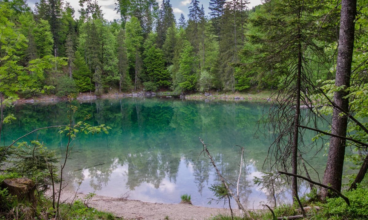 kleiner Ödsee, Seeufer mit Schotterbucht