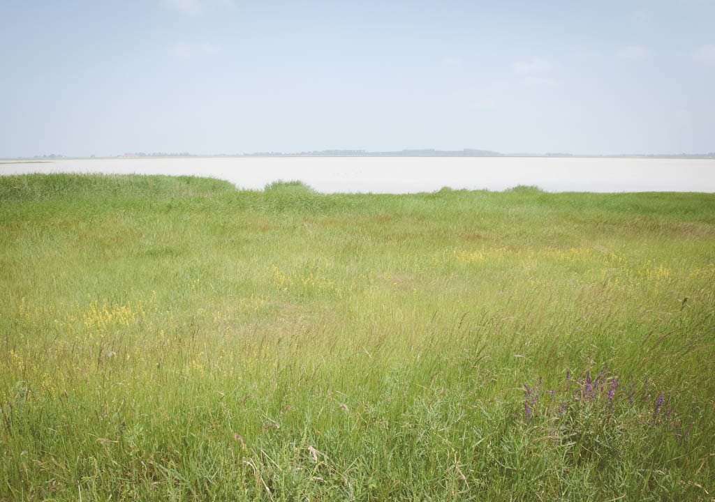Blick vom Wanderweg auf die Lange Lacke