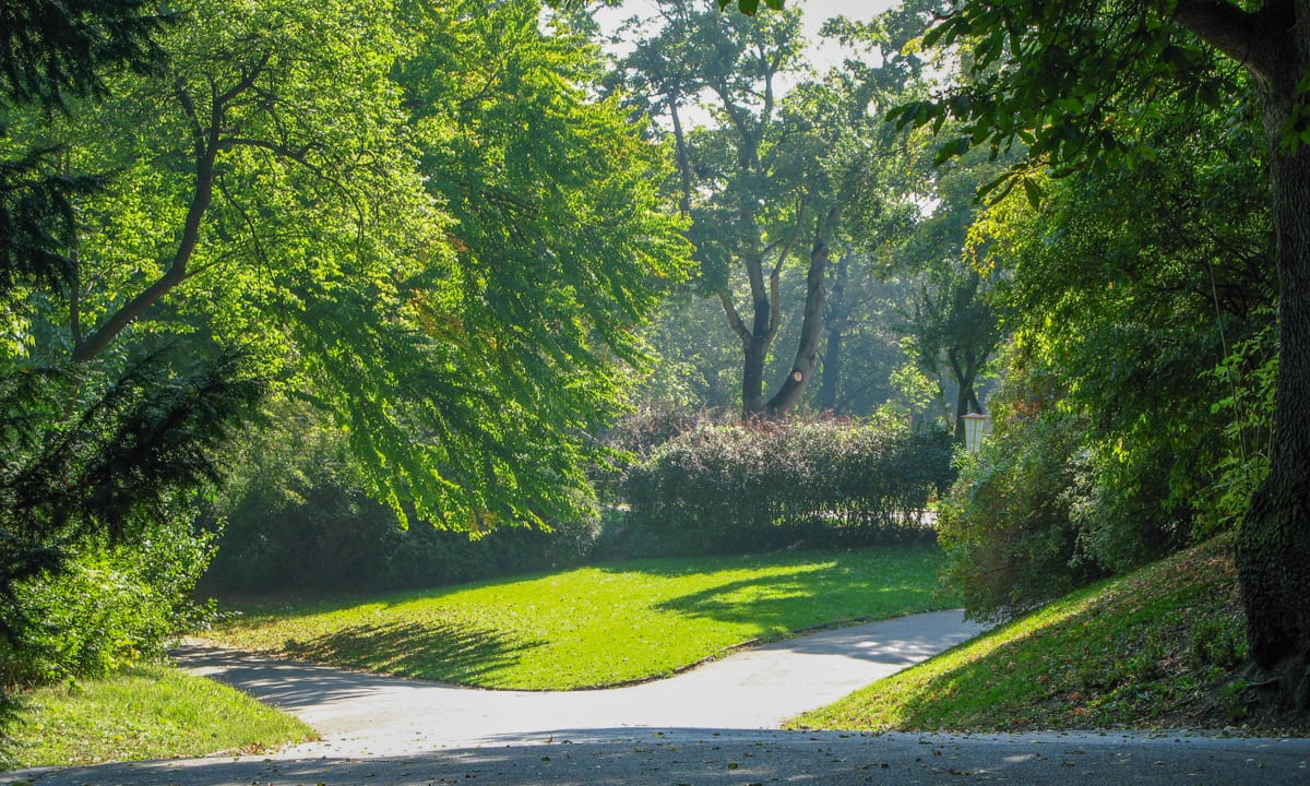 Türkenschanzpark, Wege durch den Park in Wien