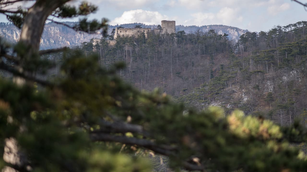 Blick auf die Ruine Emmerberg vom Winzendorf Rundwanderweg C am Mitterberg