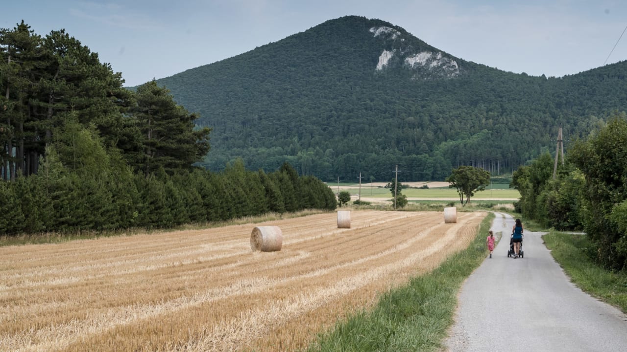 Spaziergang mit Kinderwagen in der Neuen Welt, Zweiersdorf