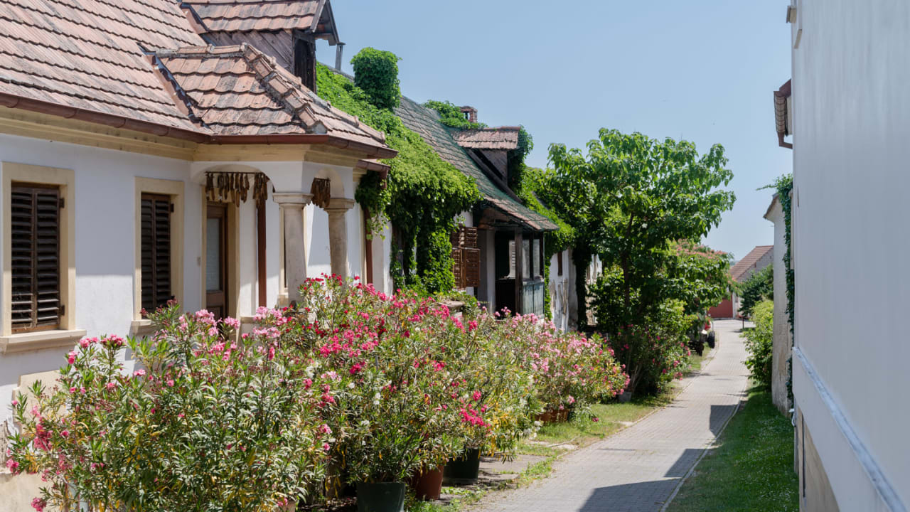 Hofgassenhaus in Mörbisch, Eingang zum Heimathaus