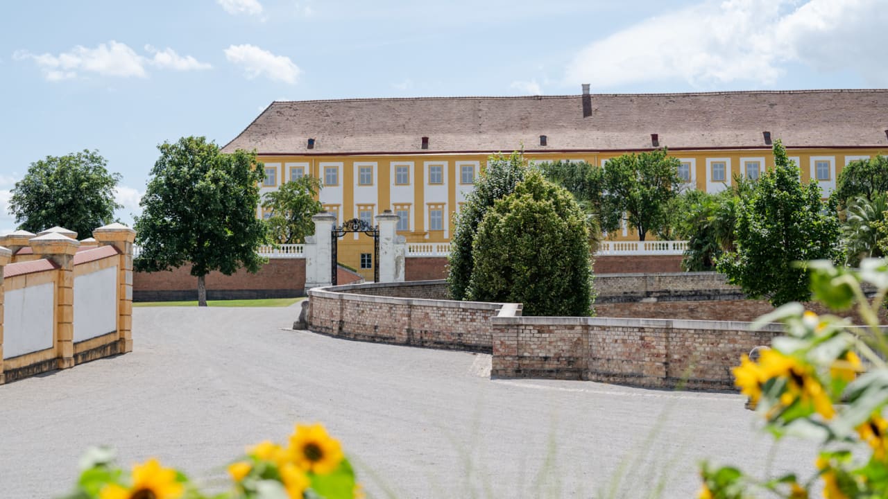 Schloss Hof mit Sonnenblumen Blick auf Schloss Hof vom Gutshof aus mit Sonnenblumen, Sommer