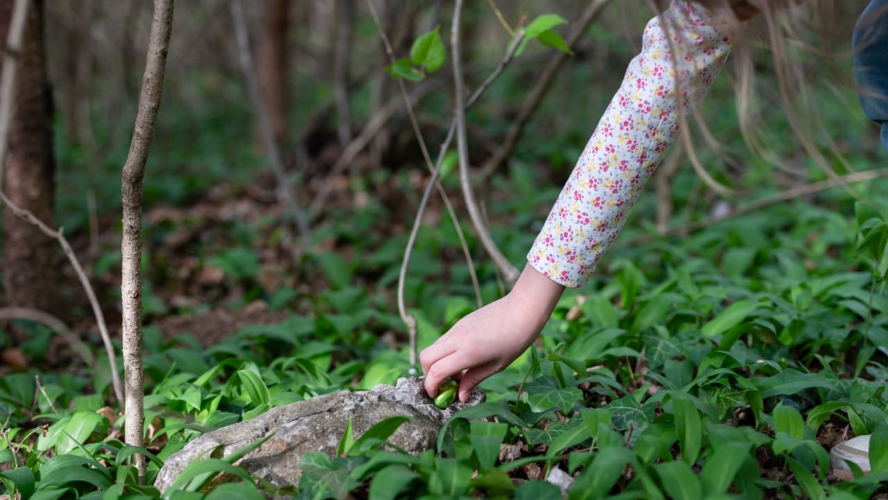 März - Kind findet Schokoei im Bärlauch