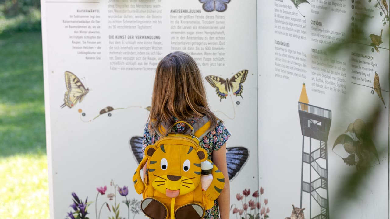 Infotafeln zu Schmetterlingen auf der Hohen Wand, Asagan Schatzrunde