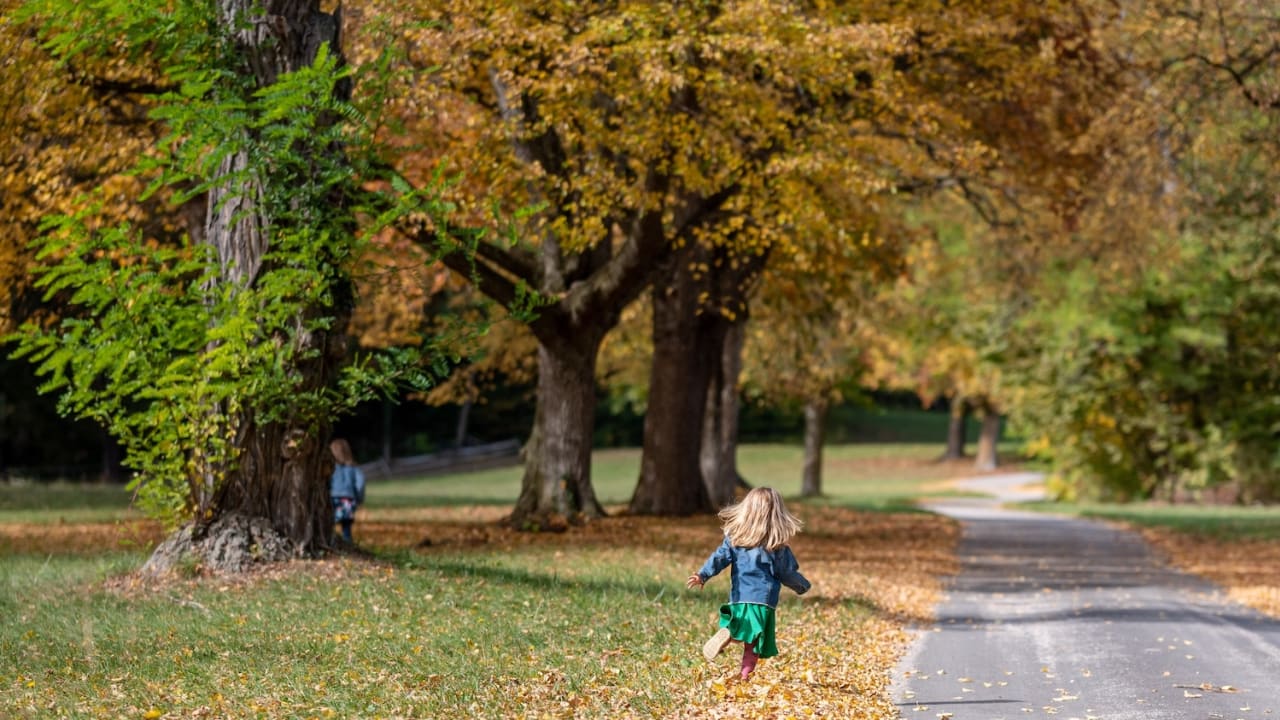 Kind läuft durch den herbstlichen Park