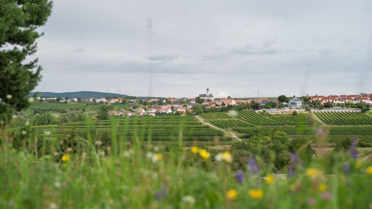 Blick auf Stratzing im Kremstal