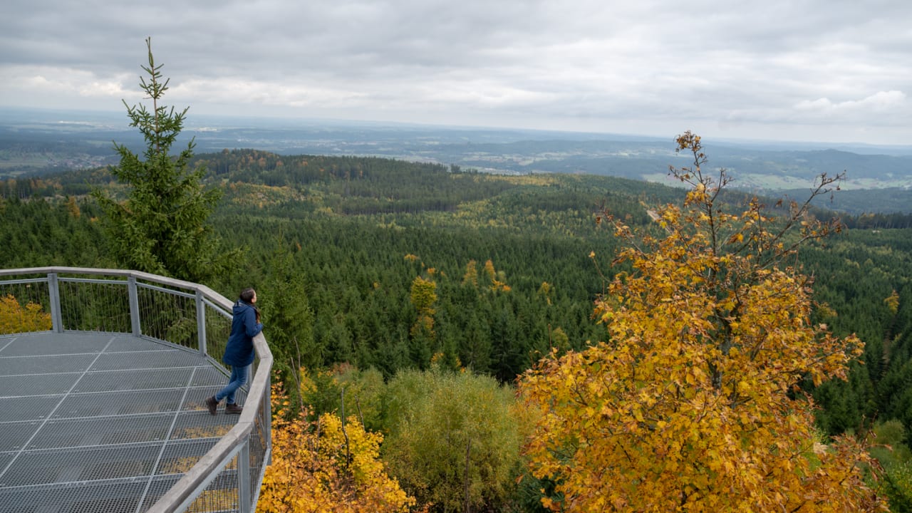 Aussicht auf der Nebelstein Warte im Waldviertel
