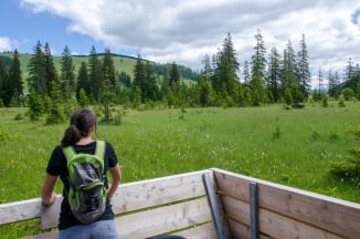 Besucher am Moorlehrpfad Teichalm