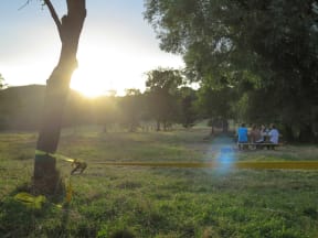 Picknick auf den Steinhofgründen in Wien