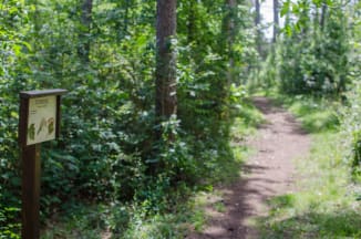 Bad Fischau, Waldlehrpfad Infotafel im Wald