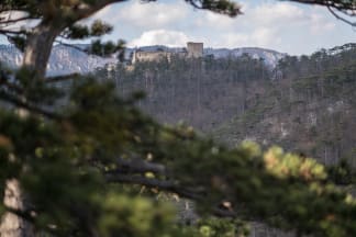 Blick auf die Ruine Emmerberg vom Winzendorf Rundwanderweg C am Mitterberg