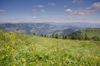 Ausblick am Gipfelweg zum Plankogel