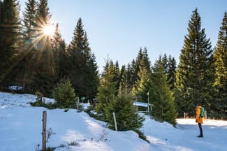 Winter bei der Steyersberger Schwaig, Wanderung