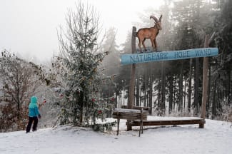 Weihnachtsbaum für die Tiere bei Sternchens Waldadvent auf der Hohen Wand