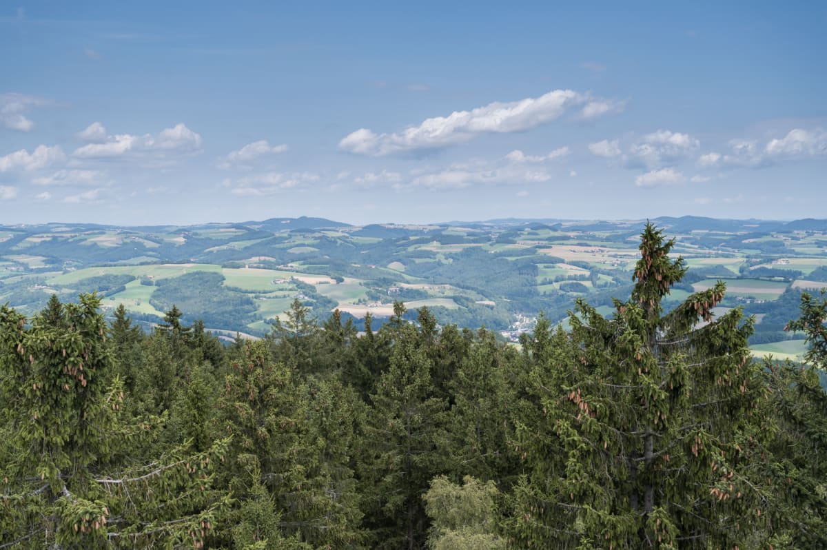 Aussicht von der Hutwischwarte über die Bucklige Welt