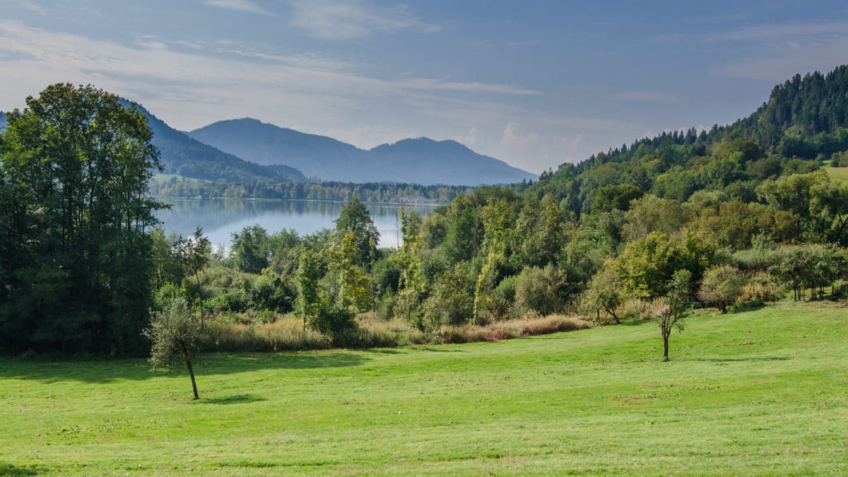 Blick auf den Längsee vom Rundwanderweg aus