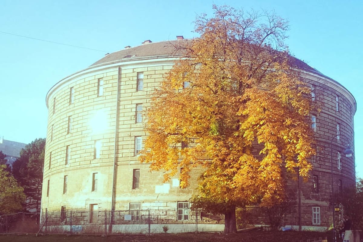 Narrenturm, Außenansicht mit Baum