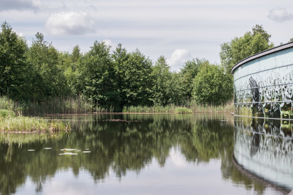 Moorteich vor dem UnterWasserReich Schrems im Sommer