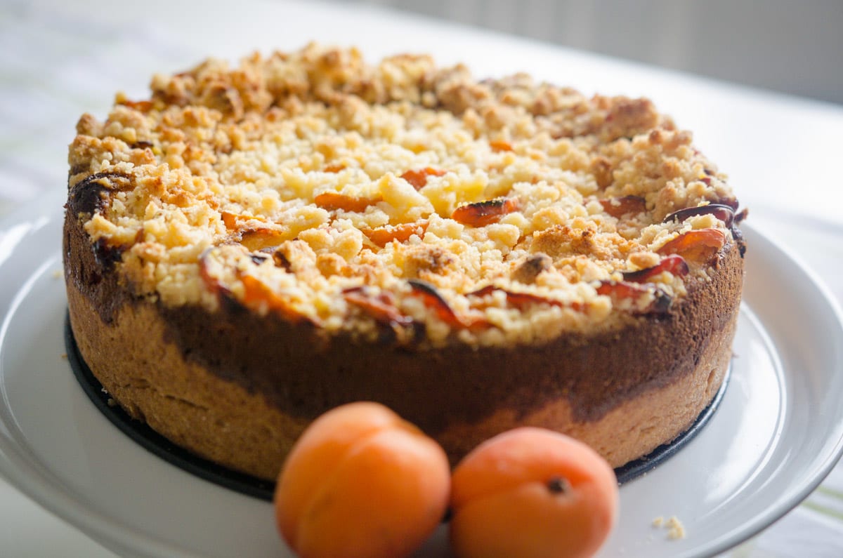 Marillen Topfen Torte mit Streusel und Marillen