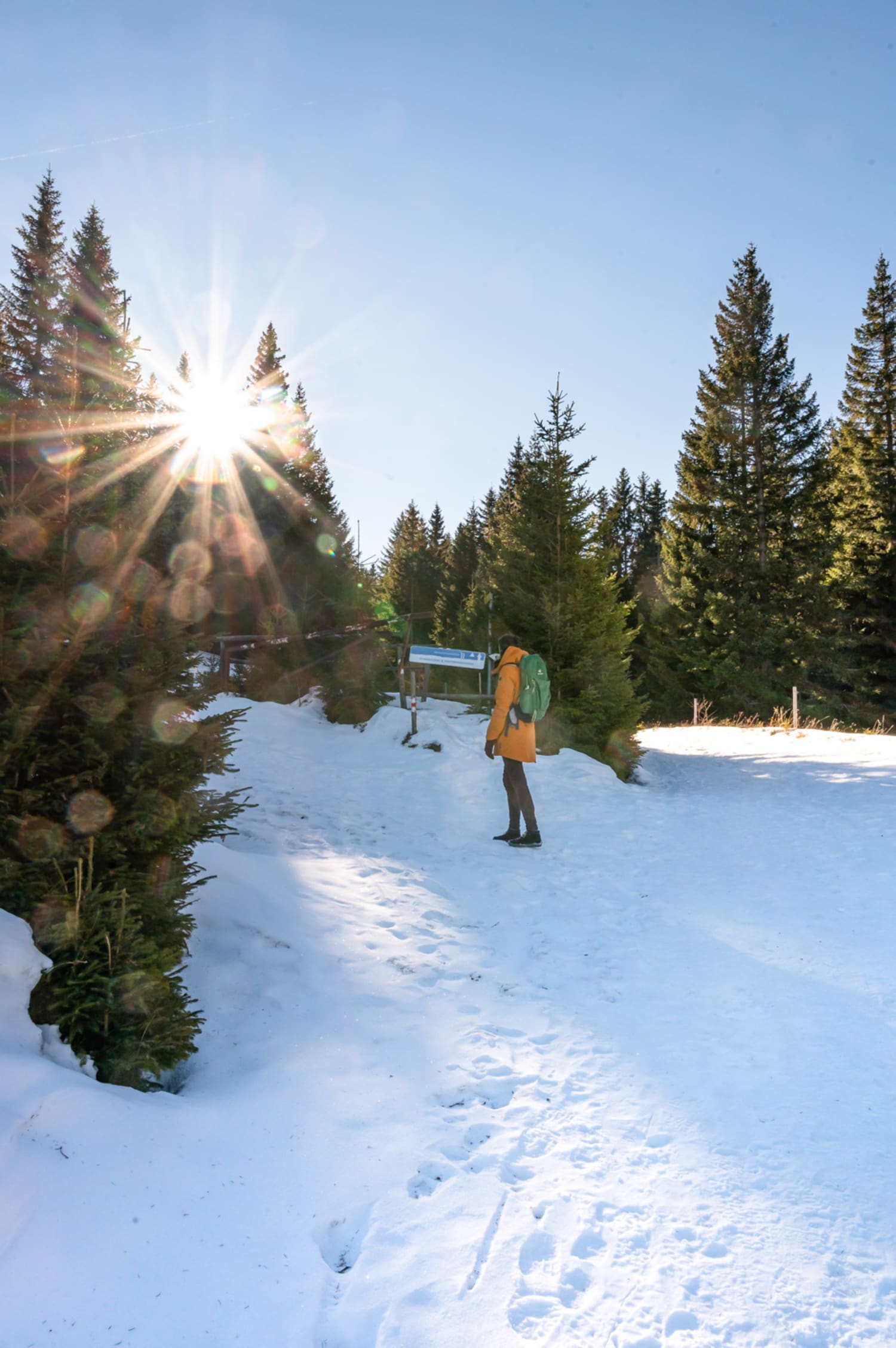 Wintersonne am Wechsel
