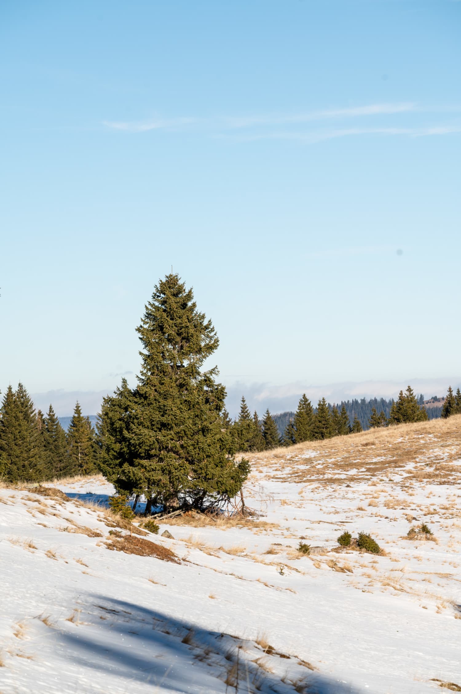 Winterwandern am Wechsel