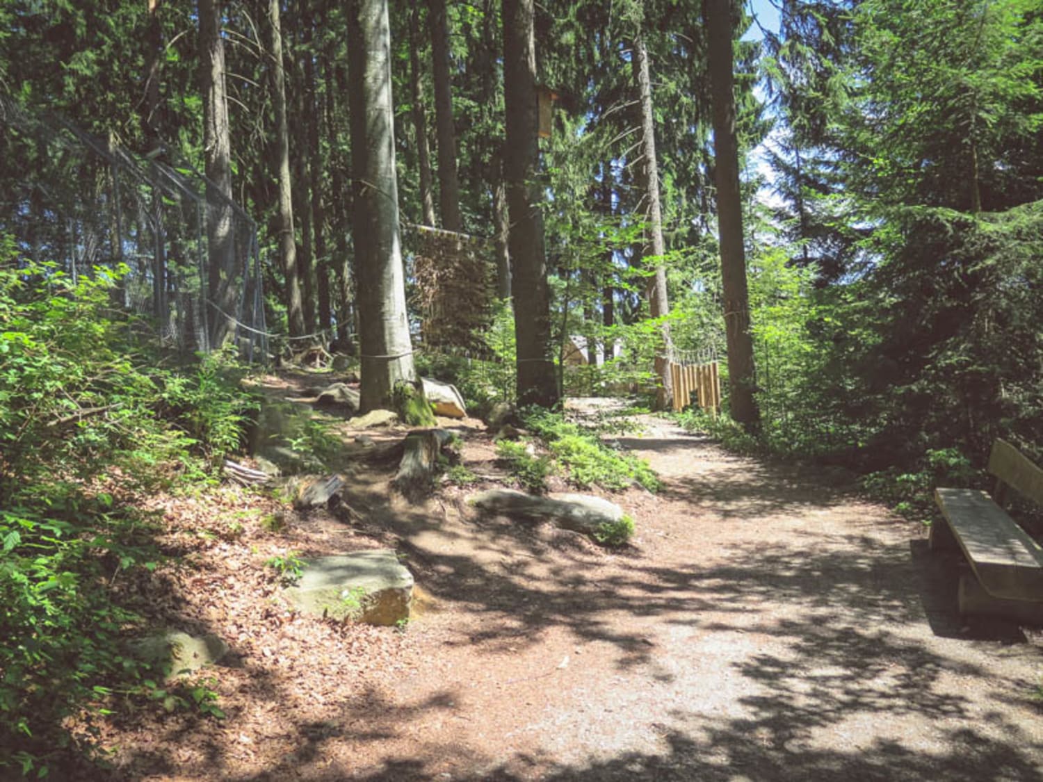 Weg durch den Bärenwald Arbesbach