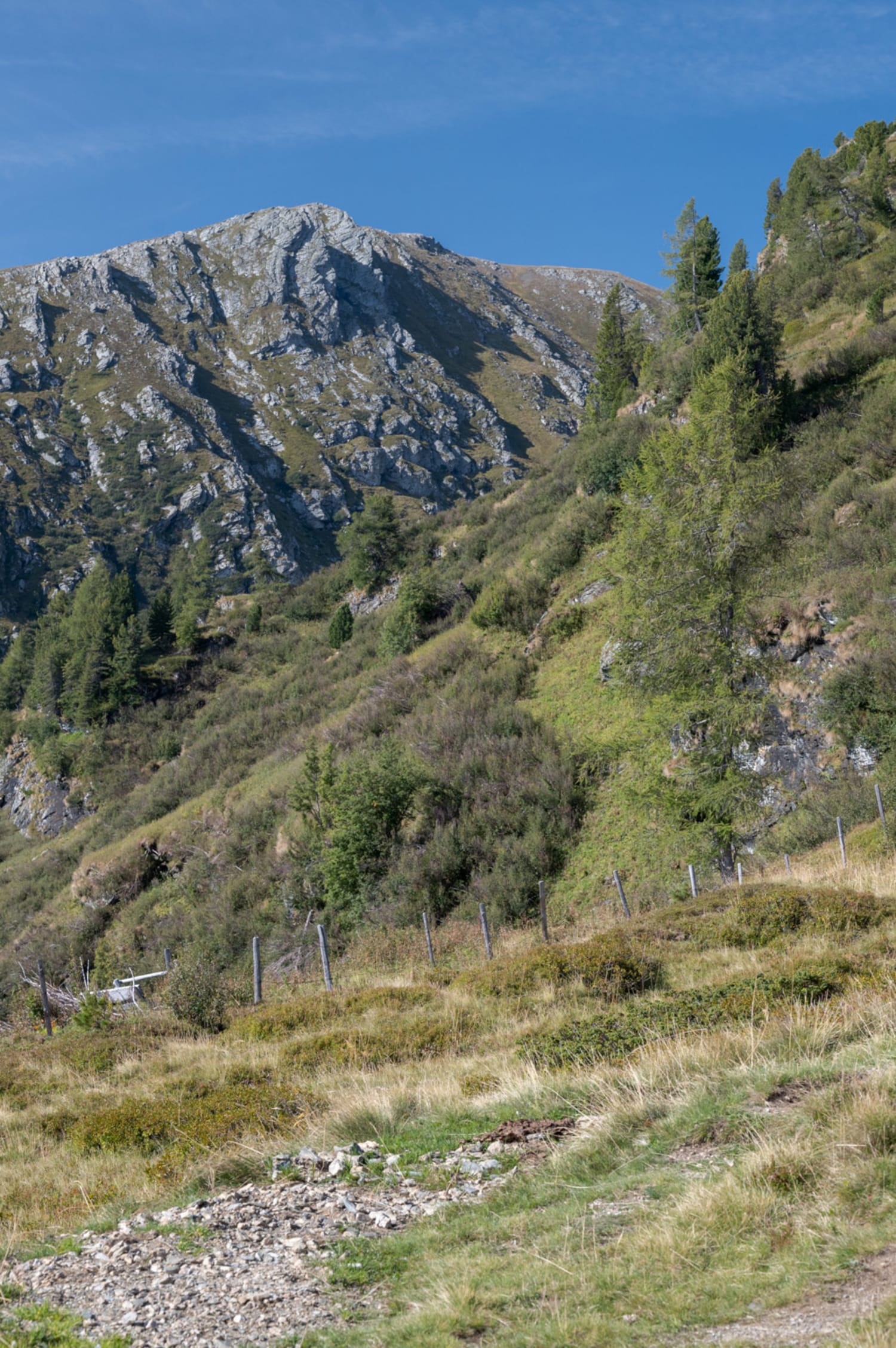 Wanderung vom Heidi Hotel auf den Falkertspitz